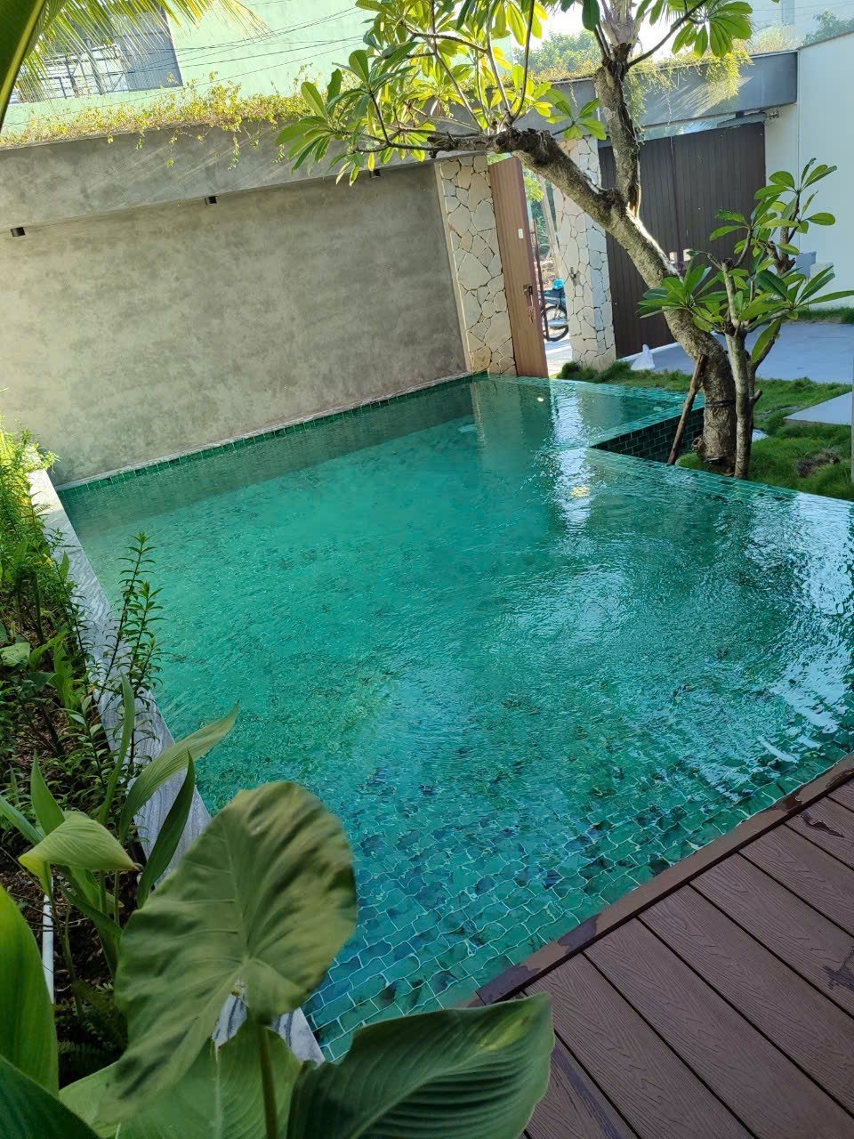 Hồ bơi kết hợp tiểu cảnh sân vườn hài hòa
